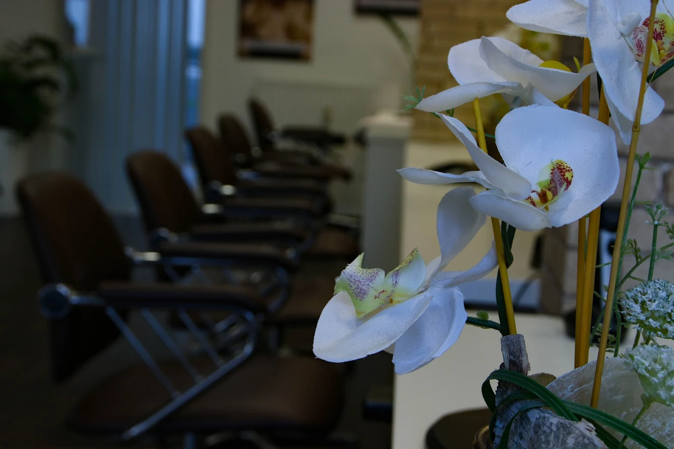 Salon Atmosphäre mit Orchideen